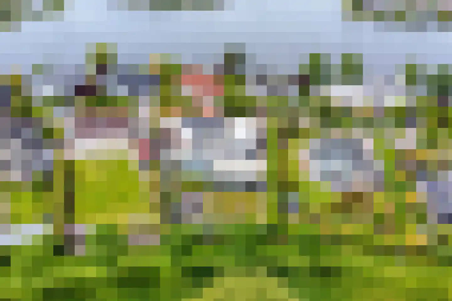 Mosselbank 17 Goes thumbnail 65