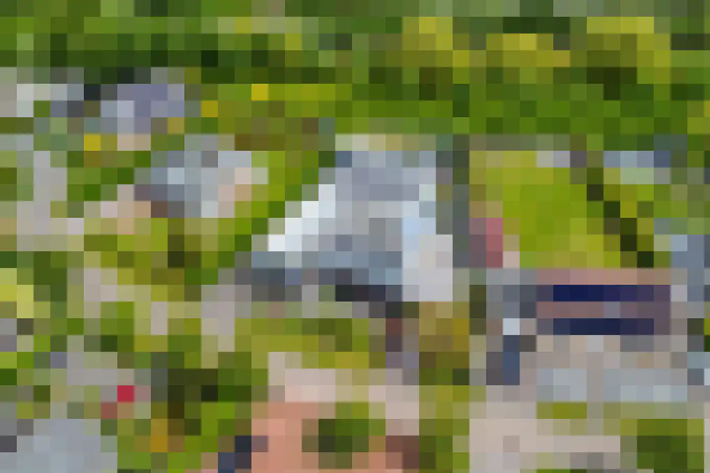 Mosselbank 17 Goes thumbnail 66