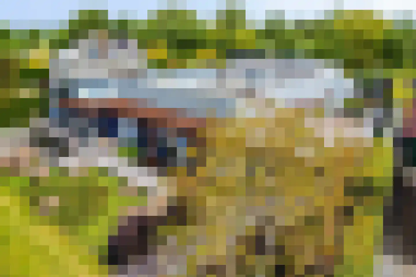 Mosselbank 17 Goes thumbnail 67