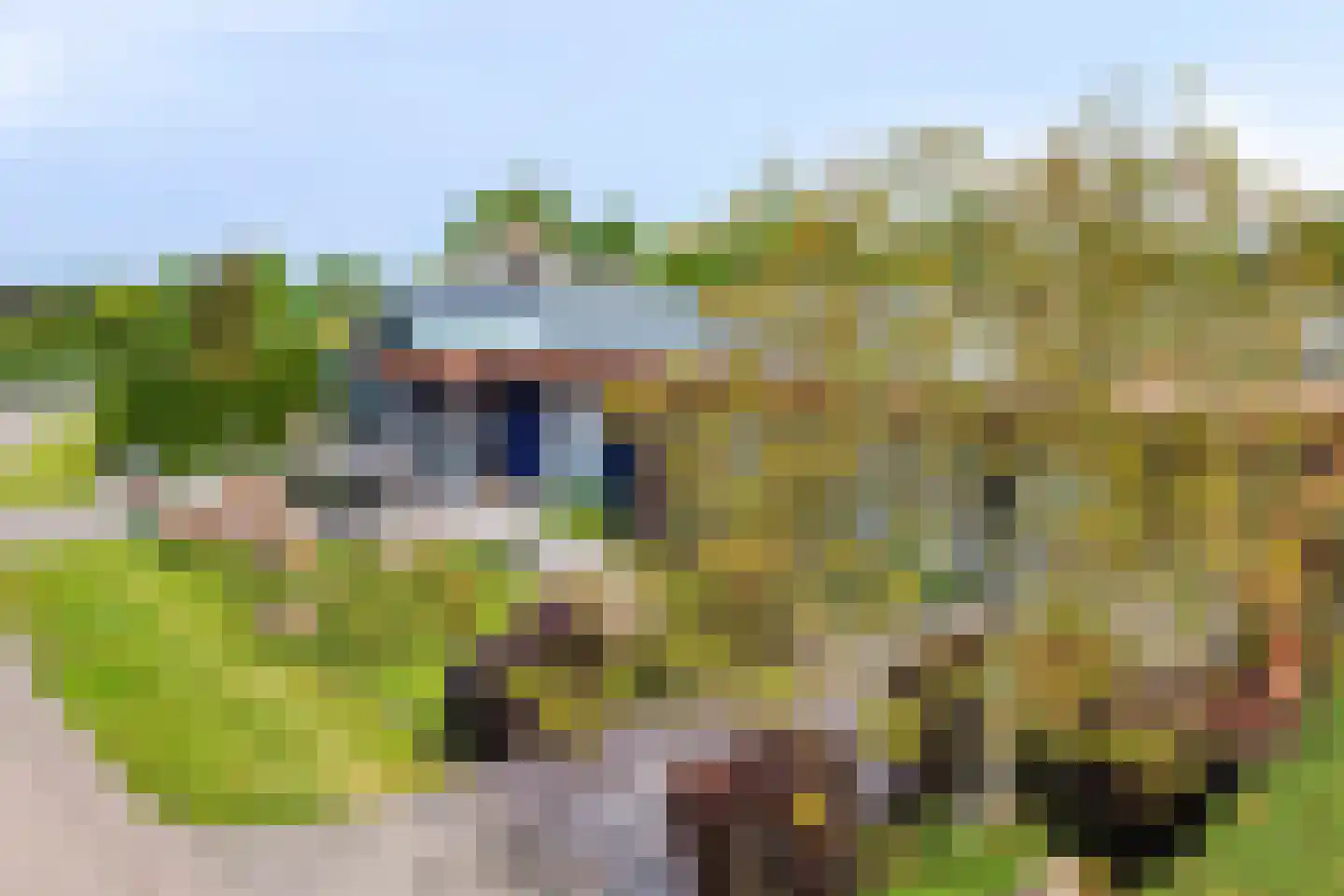 Mosselbank 17 Goes thumbnail 68