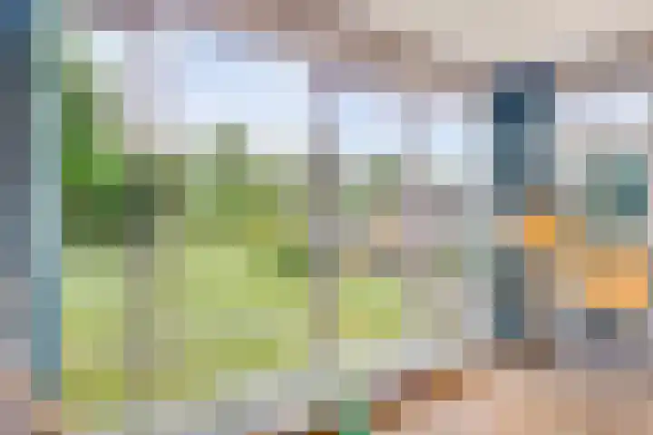 Mosselbank 21 Goes thumbnail 19