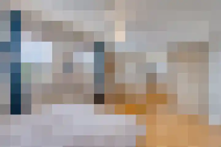 Mosselbank 21 Goes thumbnail 32