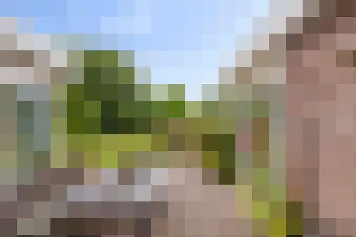 Mosselbank 21 Goes thumbnail 33