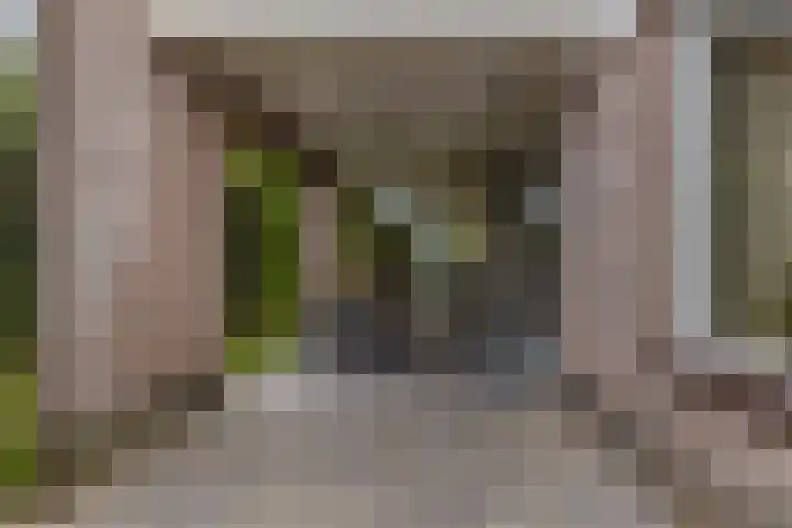 Mosselbank 21 Goes thumbnail 35