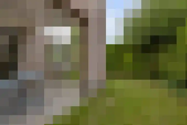 Mosselbank 21 Goes thumbnail 36