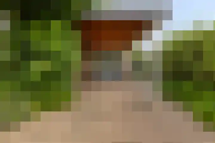 Mosselbank 21 Goes thumbnail 37