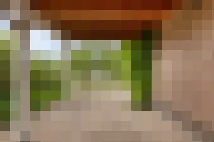 Mosselbank 21 Goes thumbnail 38