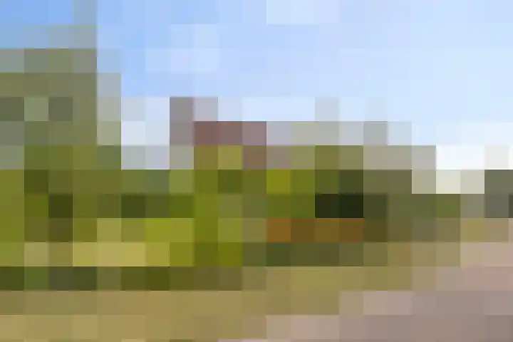 Mosselbank 21 Goes thumbnail 4