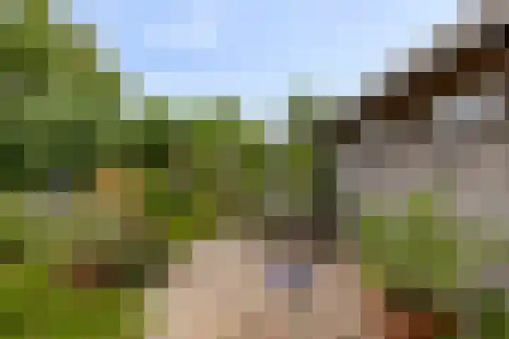 Mosselbank 21 Goes thumbnail 40
