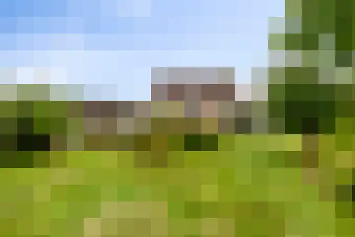 Mosselbank 21 Goes thumbnail 42