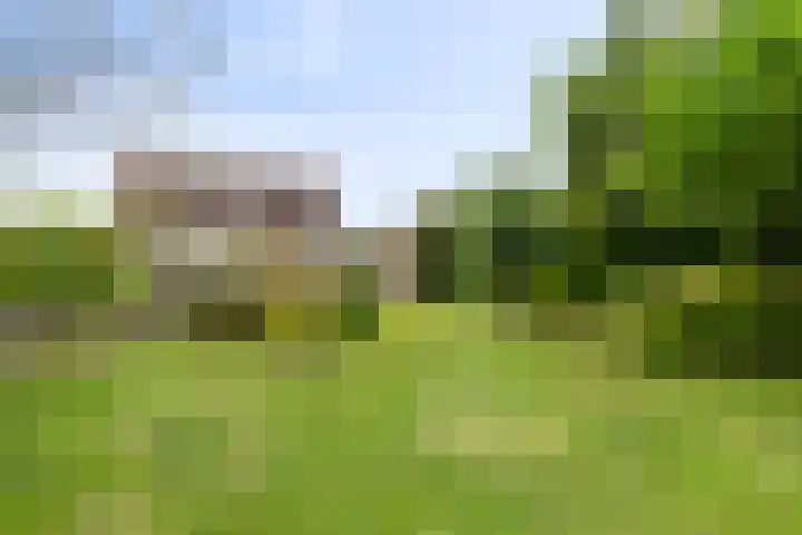 Mosselbank 21 Goes thumbnail 43