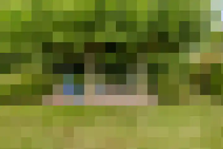 Mosselbank 21 Goes thumbnail 44