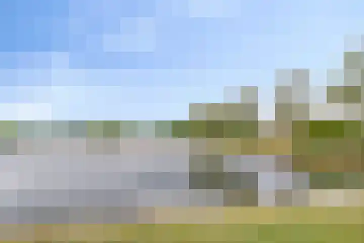 Mosselbank 21 Goes thumbnail 48