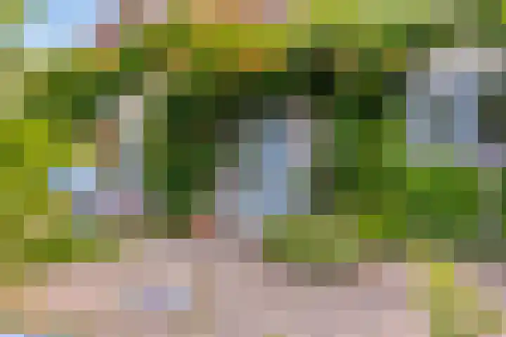 Mosselbank 21 Goes thumbnail 5