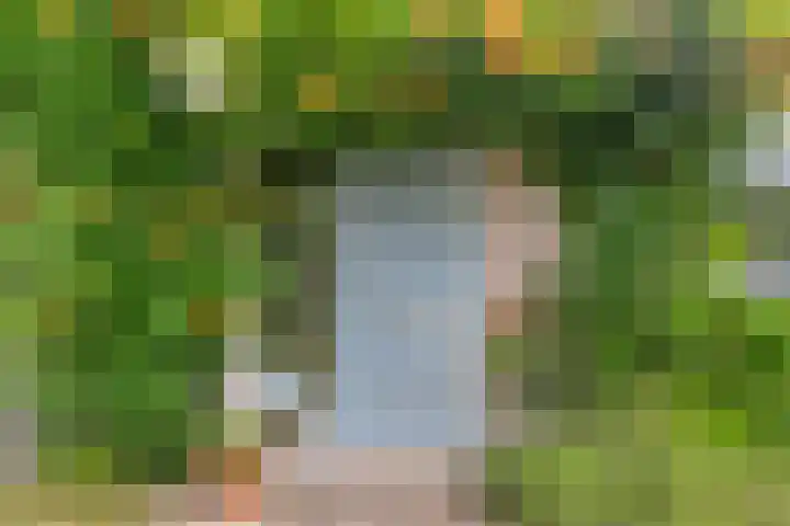 Mosselbank 21 Goes thumbnail 6