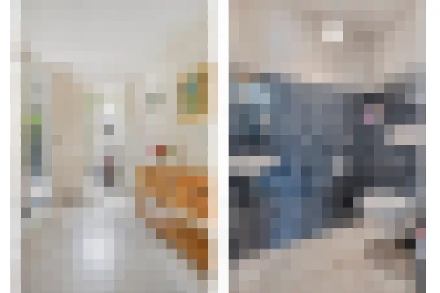 Mosselbank 4 Goes thumbnail 5