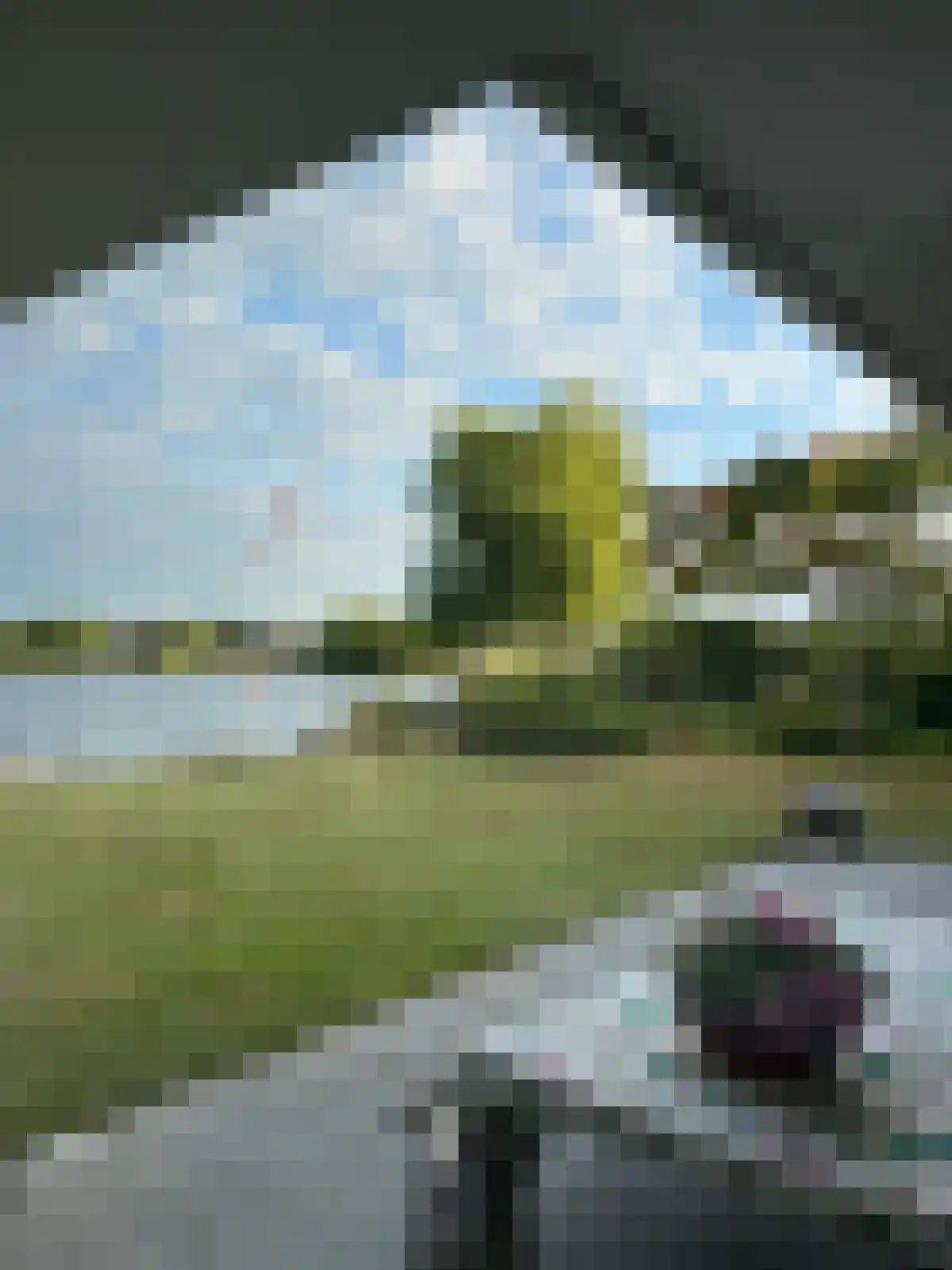 Mosselbank 4 Goes thumbnail 51