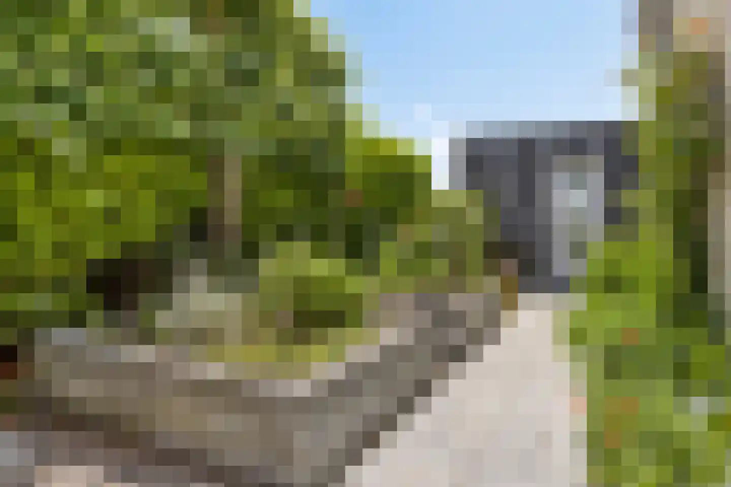 Mosselbank 4 Goes thumbnail 54