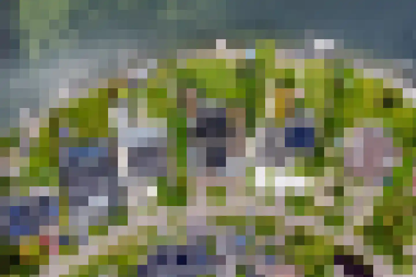 Mosselbank 4 Goes thumbnail 56