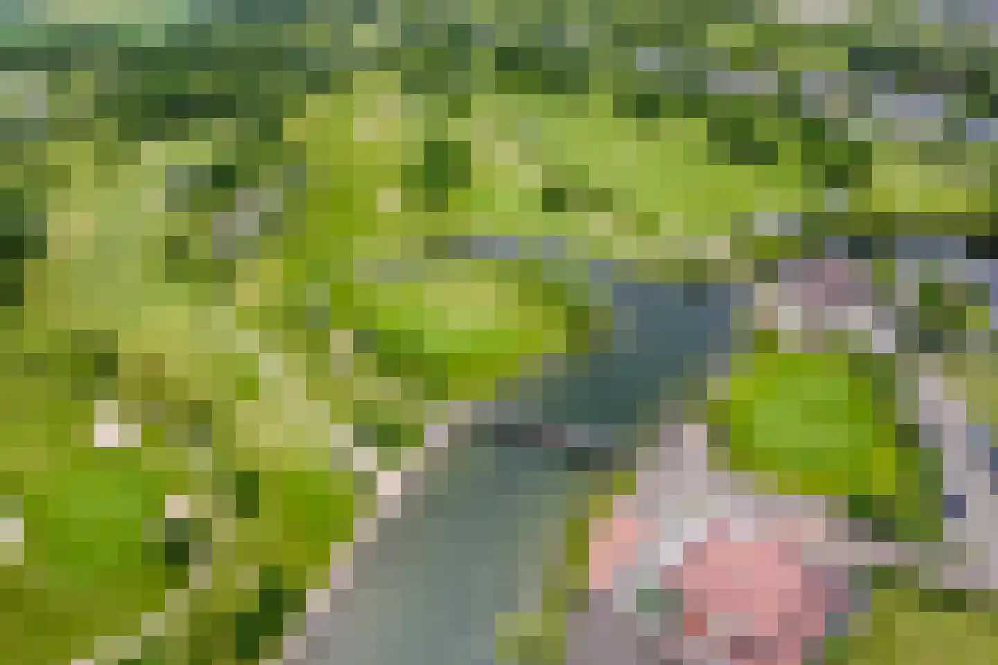 Mosselbank 4 Goes thumbnail 61