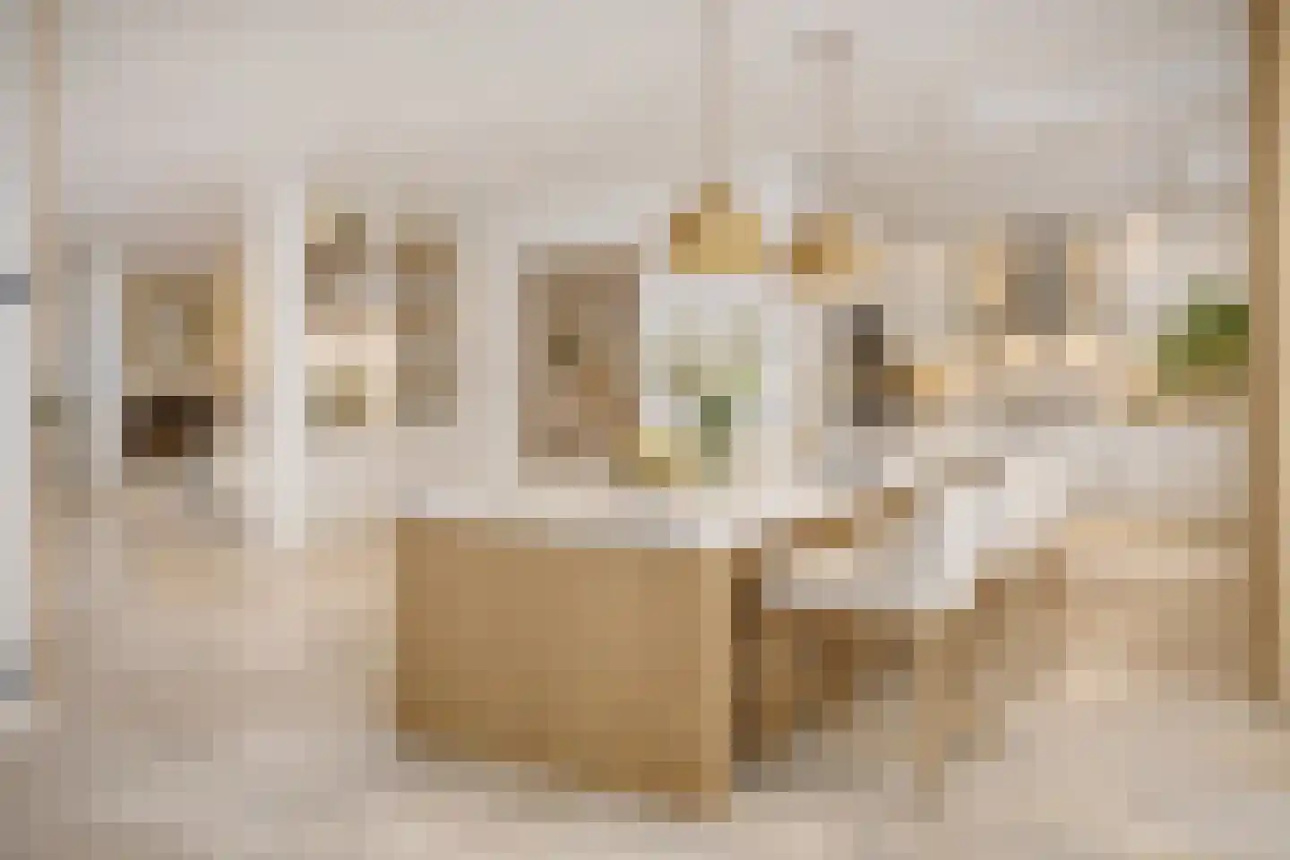 Mosselbank 4 Goes thumbnail 8
