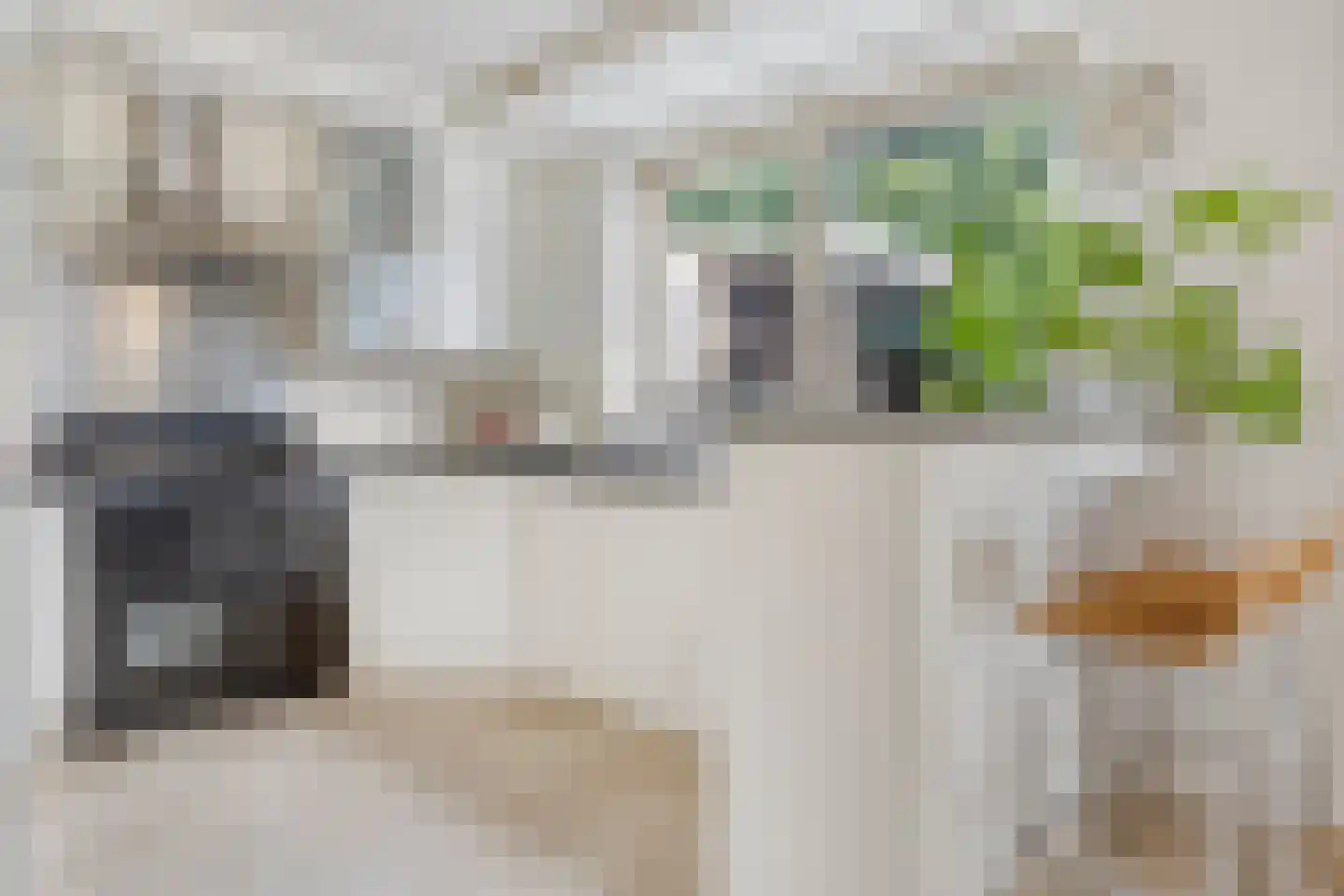 Mosselbank 4 Goes thumbnail 9