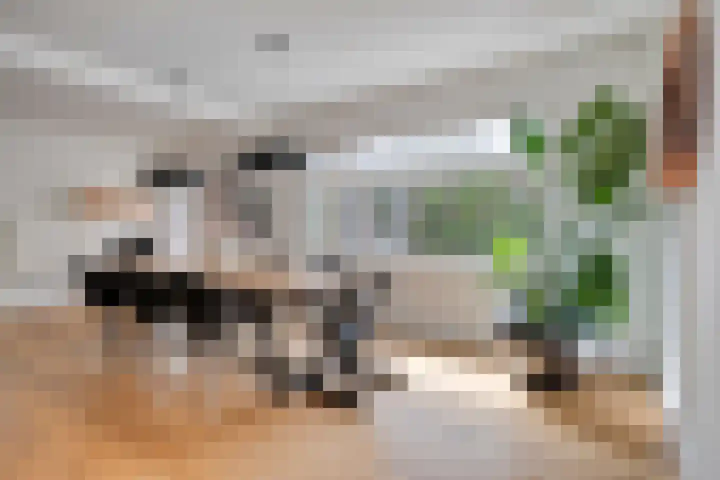 Mosselbank 9 Philippine thumbnail 12
