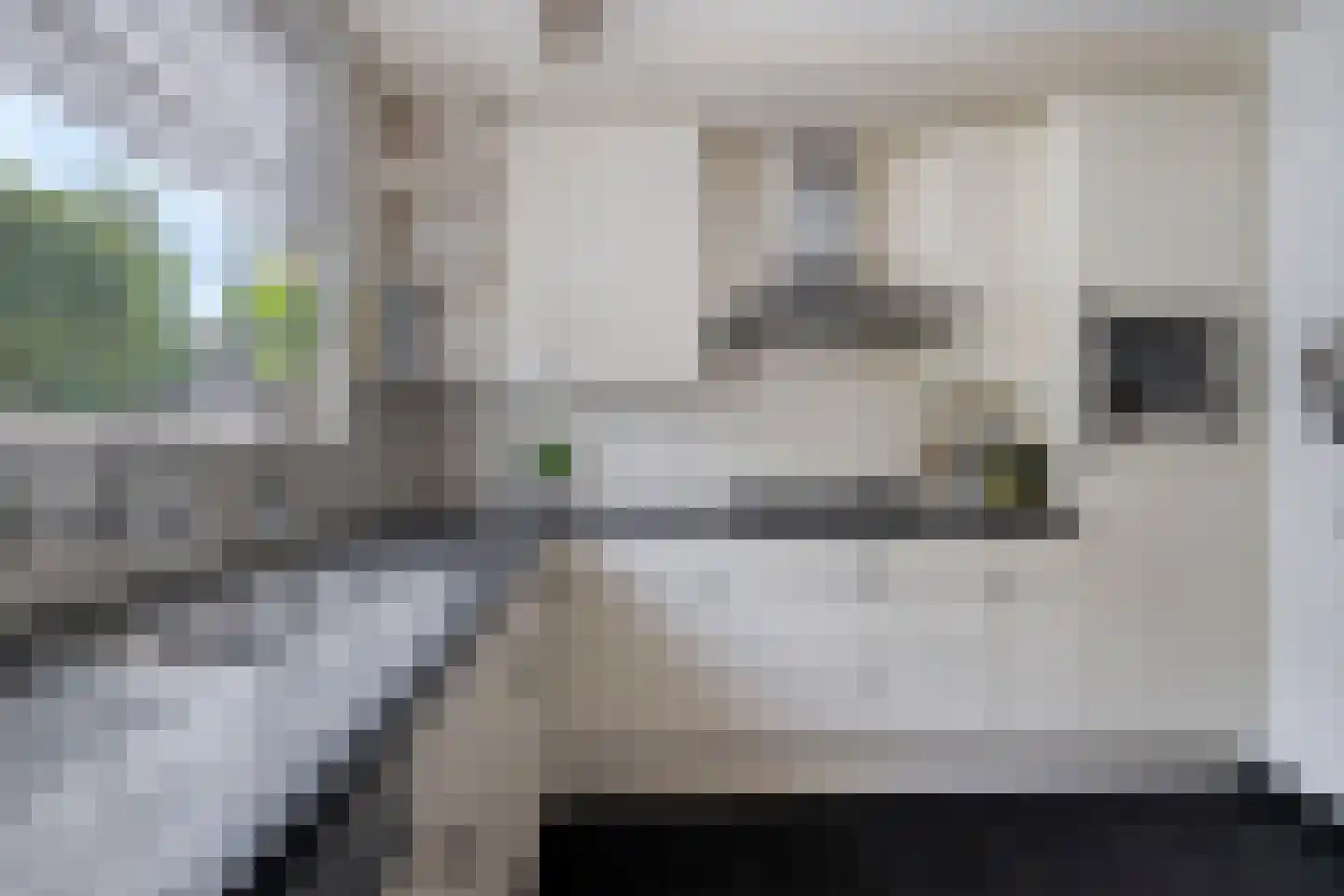 Mosselbank 9 Philippine thumbnail 15
