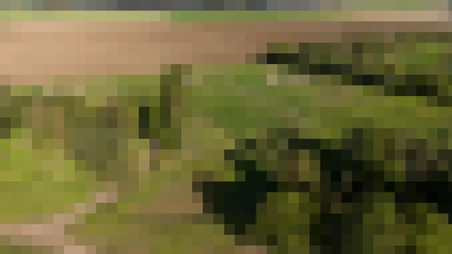 Mosseldijk 15 A Nieuwvliet thumbnail 4