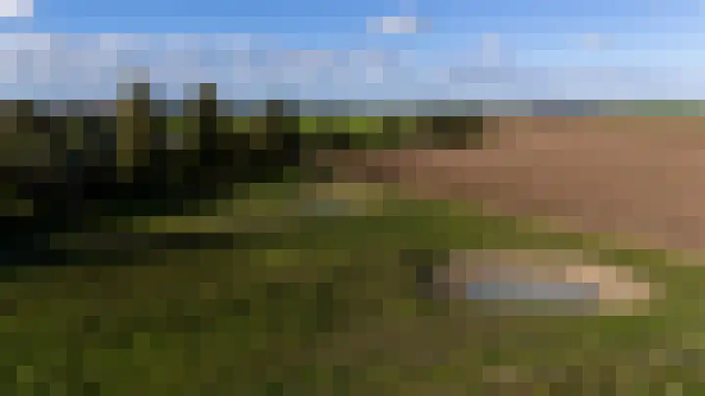Mosseldijk 15 A Nieuwvliet thumbnail 6