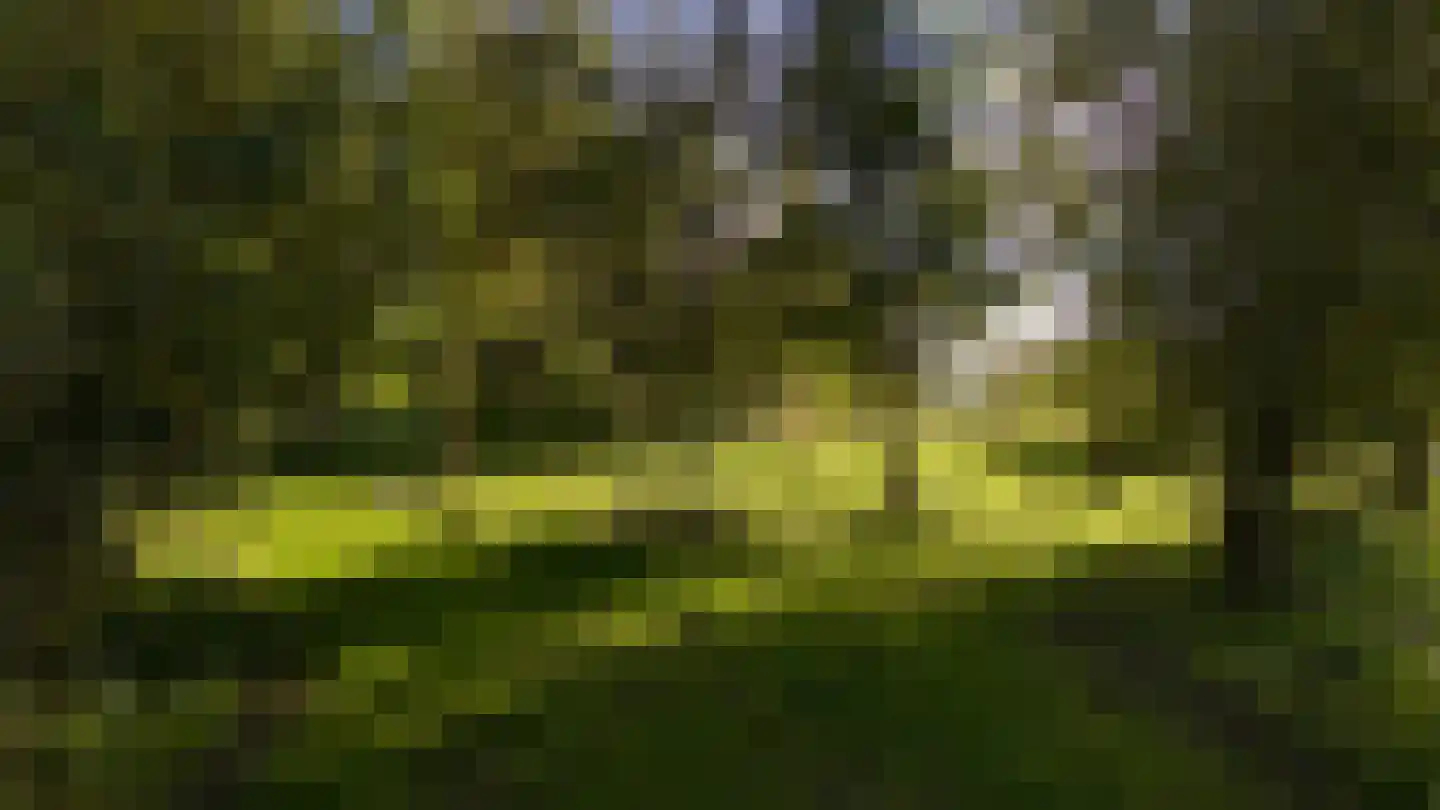Mosseldijk 15 A Nieuwvliet thumbnail 8