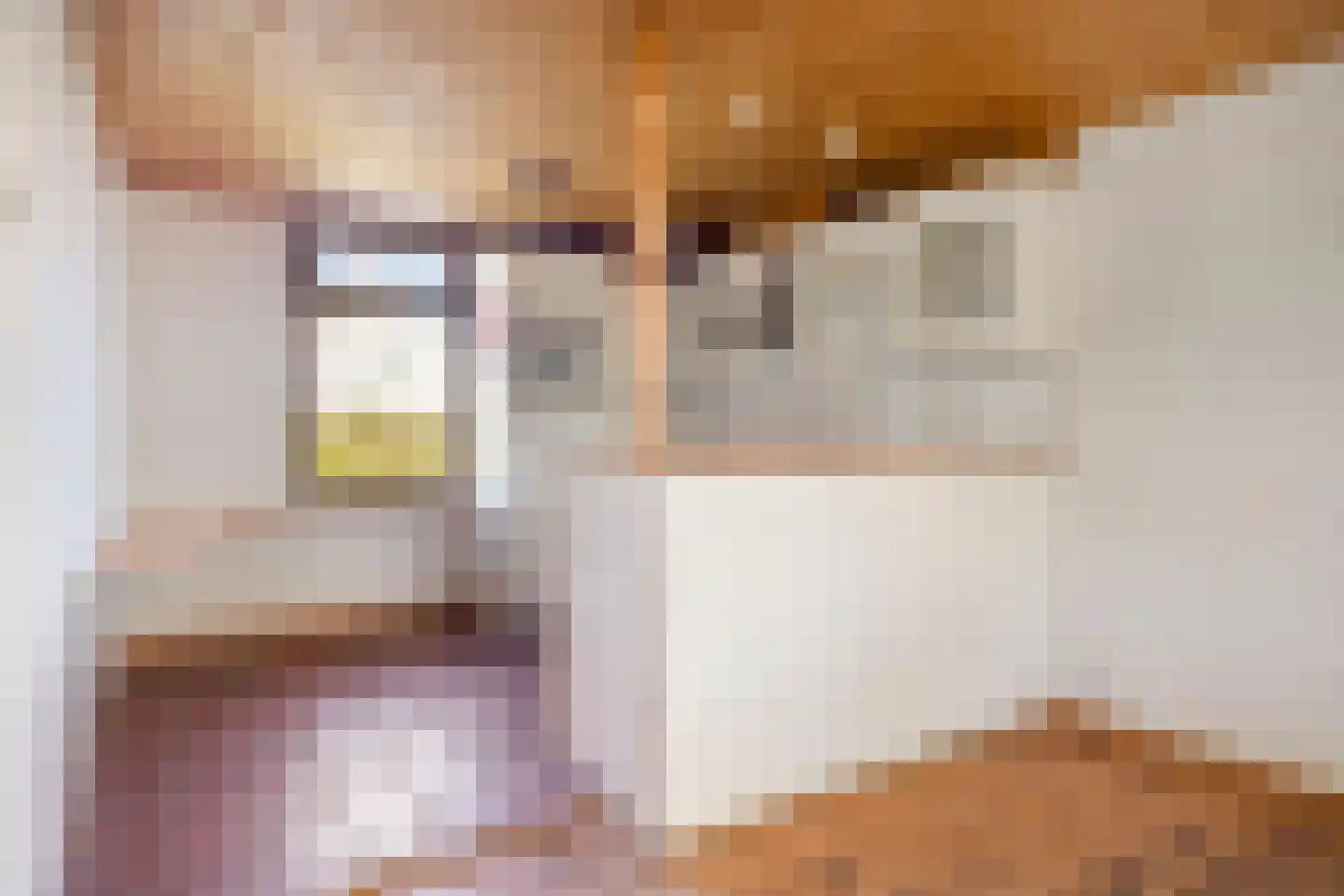 Mosseldijk 15 Nieuwvliet thumbnail 12