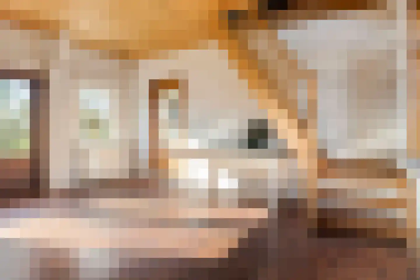 Mosseldijk 15 Nieuwvliet thumbnail 17