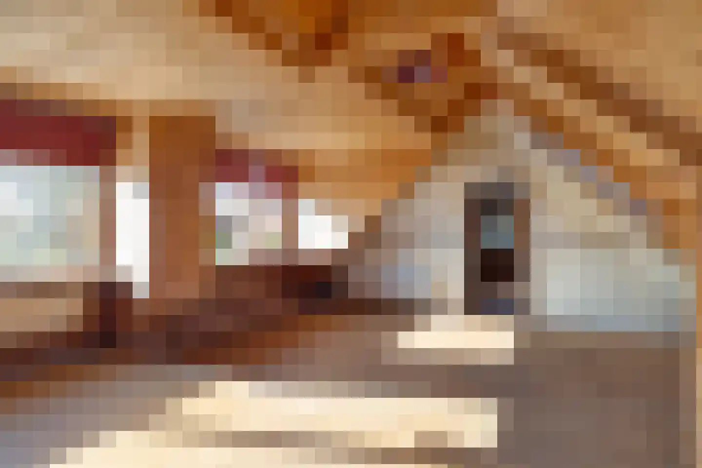 Mosseldijk 15 Nieuwvliet thumbnail 22