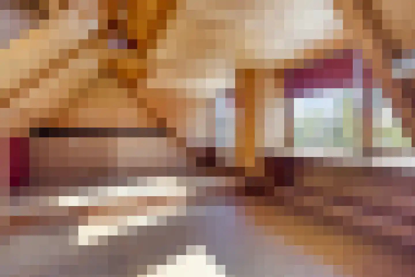 Mosseldijk 15 Nieuwvliet thumbnail 23