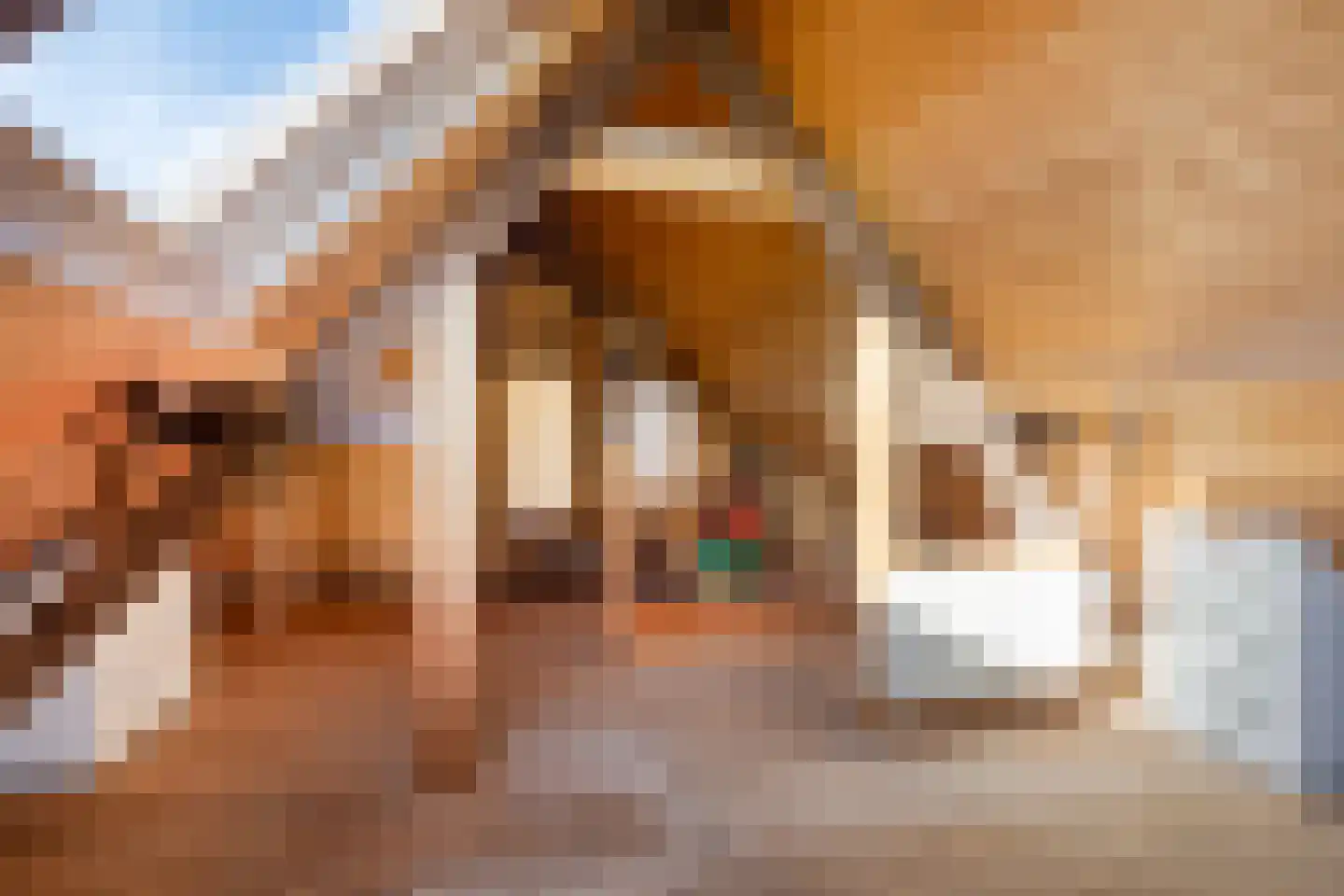 Mosseldijk 15 Nieuwvliet thumbnail 26