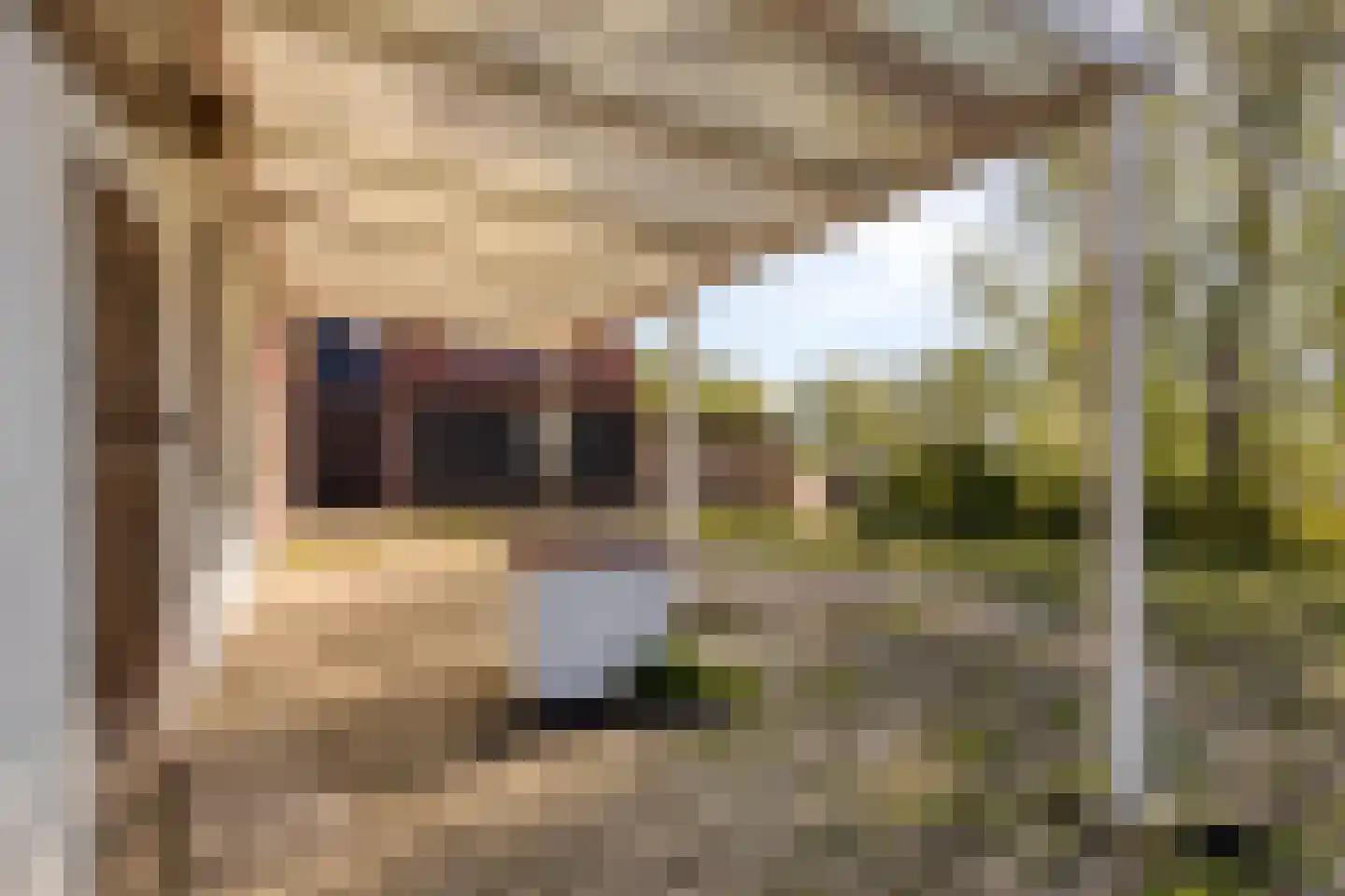 Mosseldijk 15 Nieuwvliet thumbnail 29