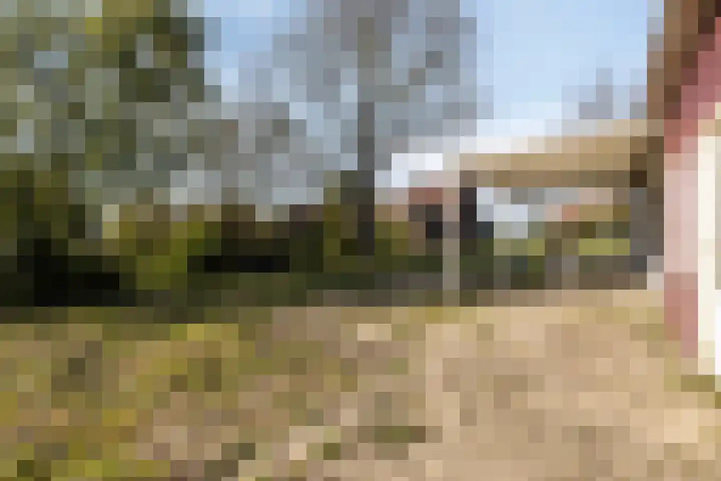 Mosseldijk 15 Nieuwvliet thumbnail 30