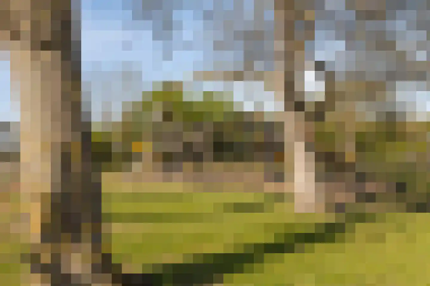 Mosseldijk 15 Nieuwvliet thumbnail 37