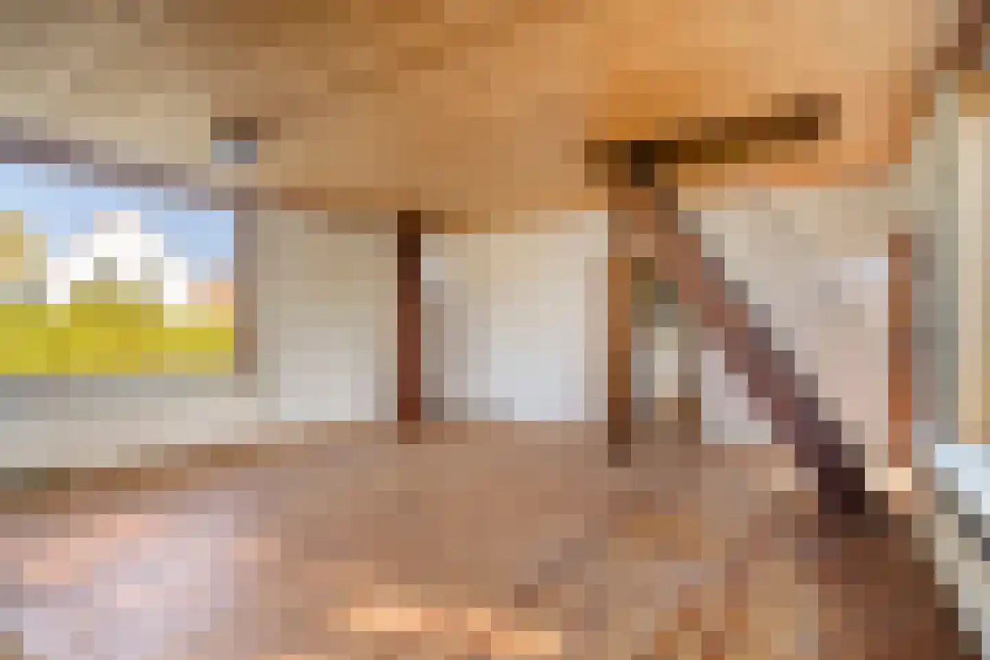 Mosseldijk 15 Nieuwvliet thumbnail 9