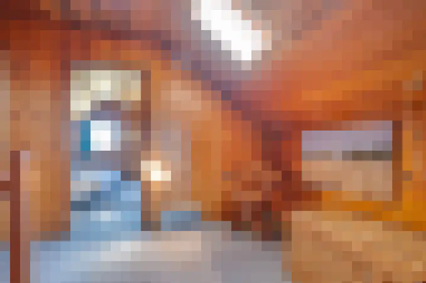 Mosseldijk 9 Nieuwvliet thumbnail 22