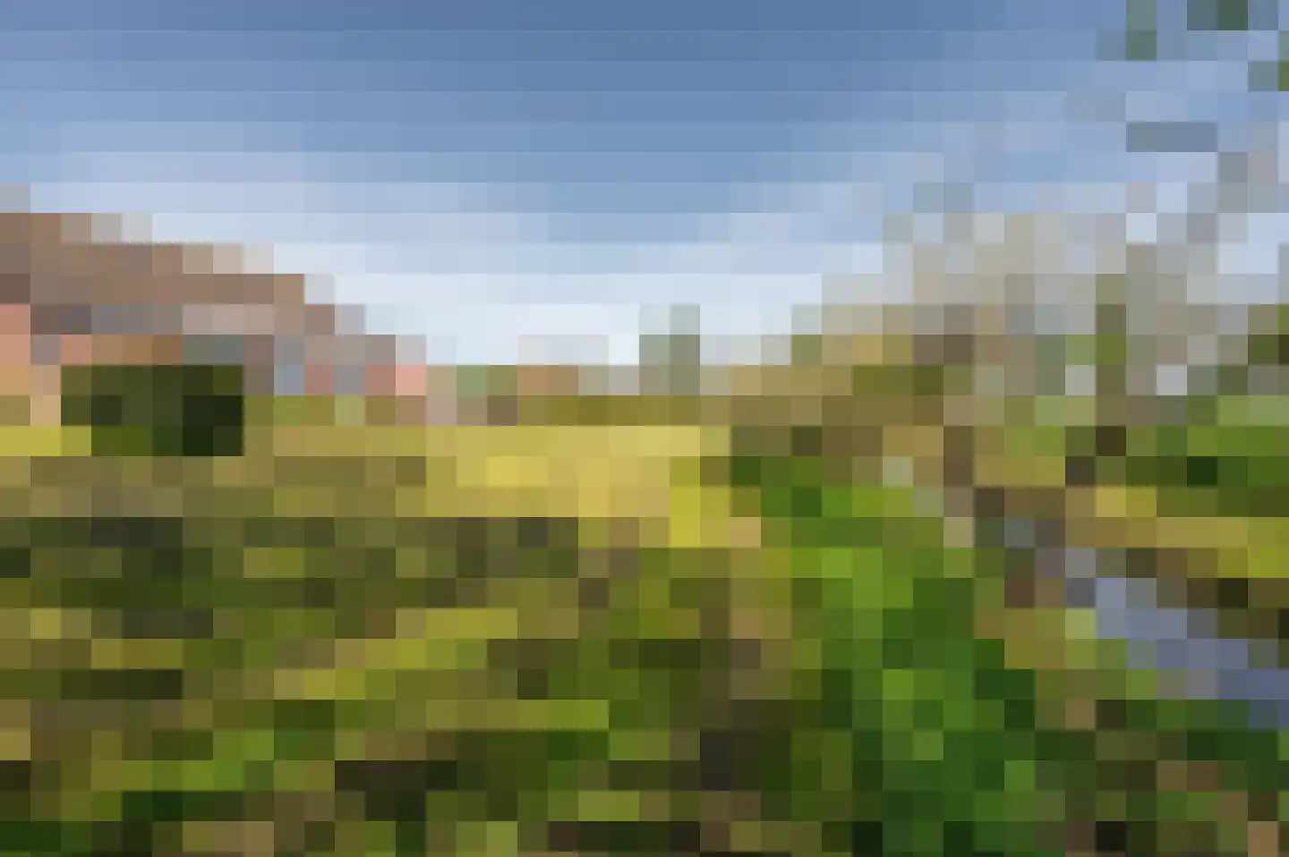 Mosseldijk 9 Nieuwvliet thumbnail 35