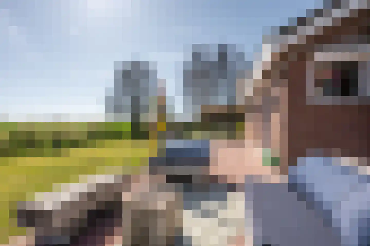 Mosseldijk 9 Nieuwvliet thumbnail 37