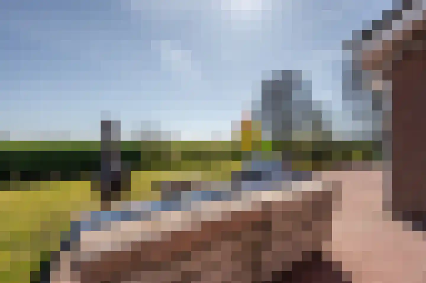 Mosseldijk 9 Nieuwvliet thumbnail 38