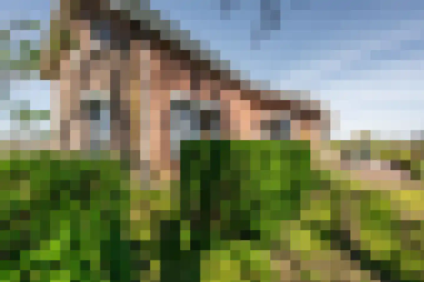 Mosseldijk 9 Nieuwvliet thumbnail 39