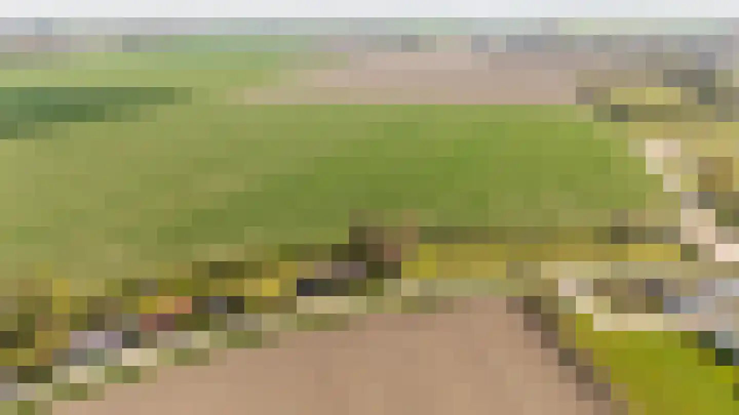 Mosseldijk 9 Nieuwvliet thumbnail 4
