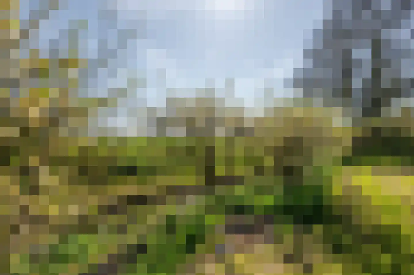 Mosseldijk 9 Nieuwvliet thumbnail 40