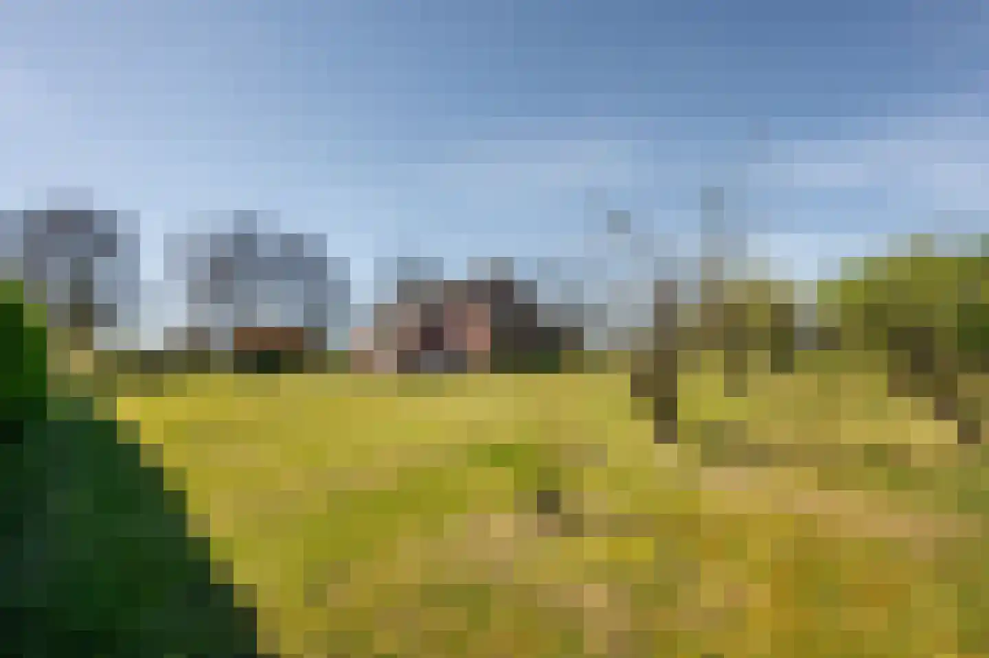 Mosseldijk 9 Nieuwvliet thumbnail 41