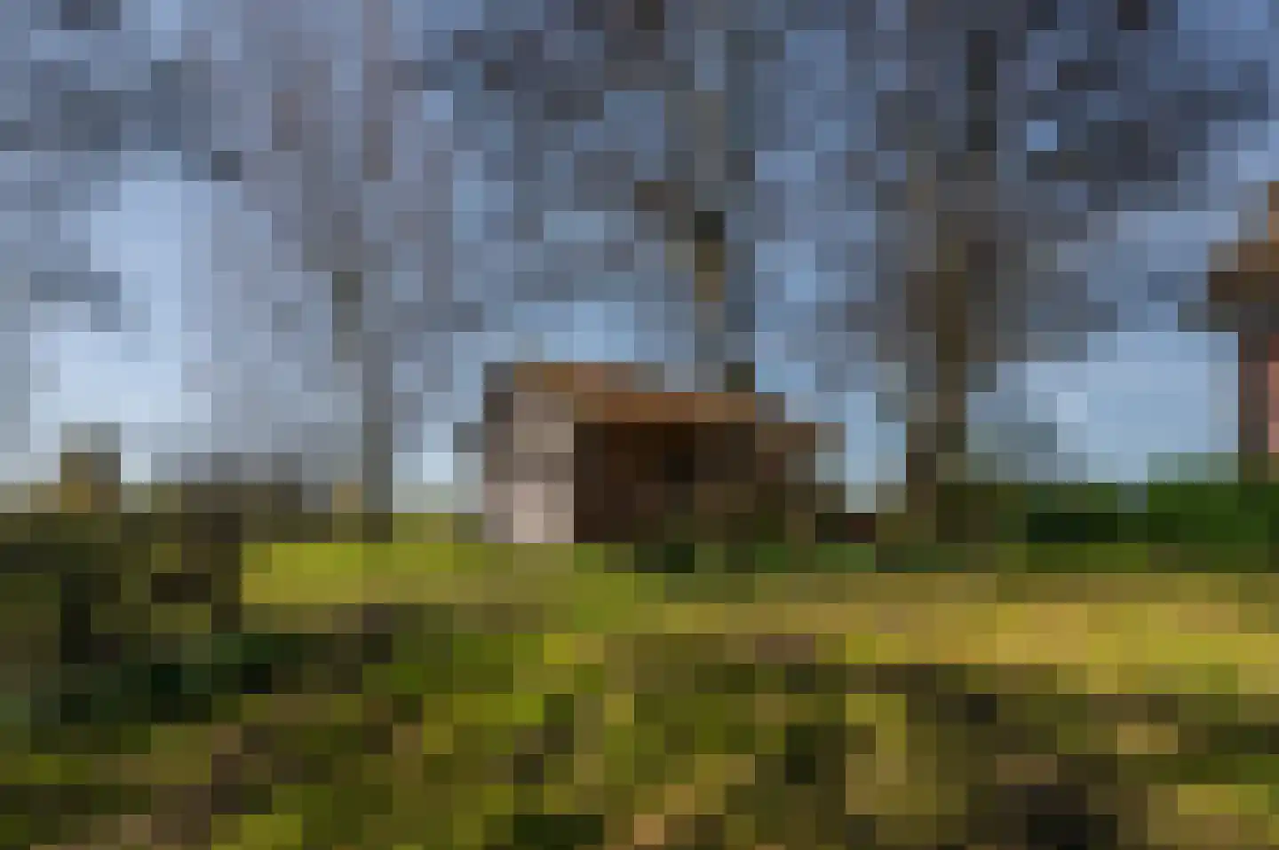 Mosseldijk 9 Nieuwvliet thumbnail 44