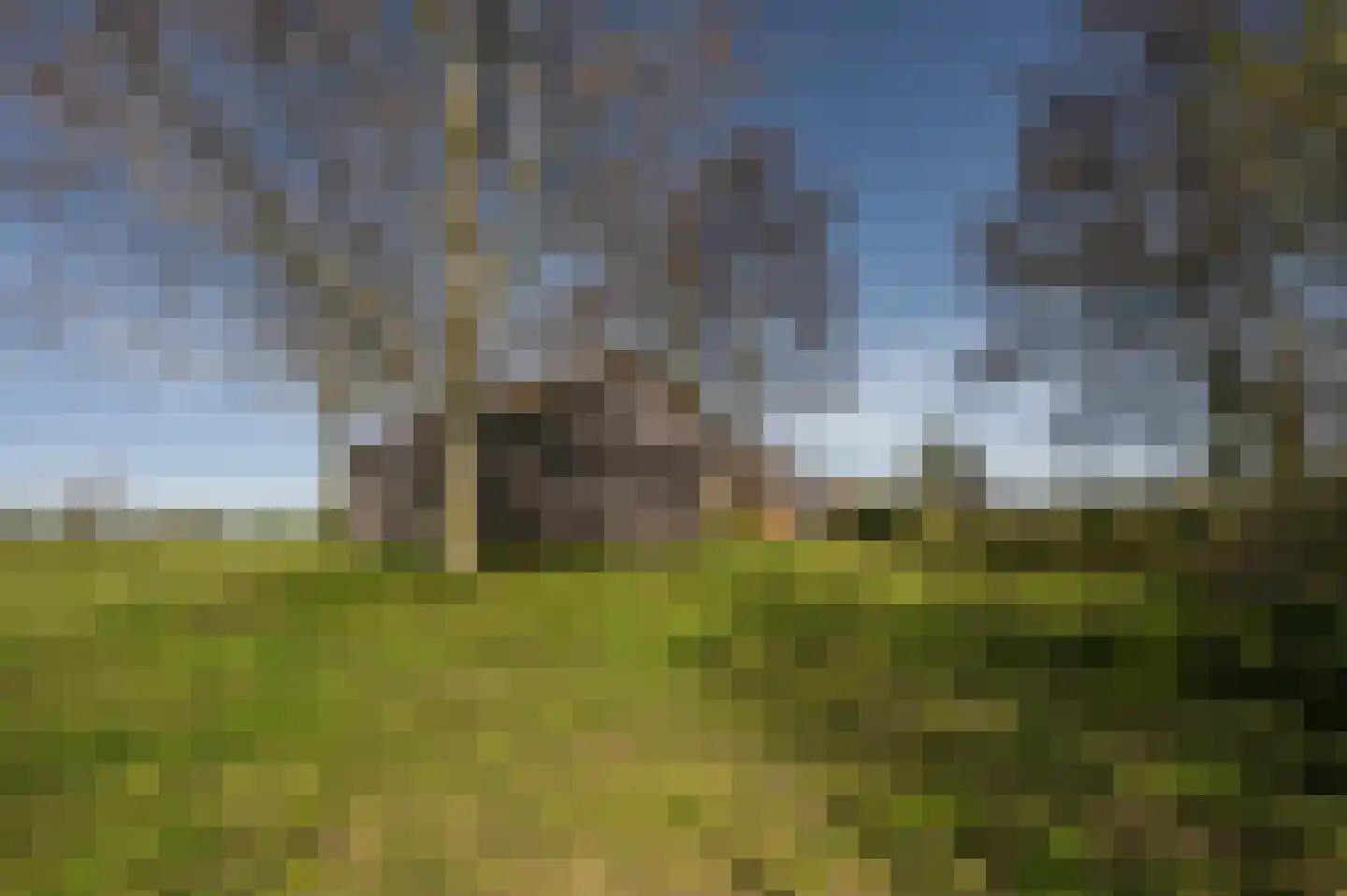 Mosseldijk 9 Nieuwvliet thumbnail 45